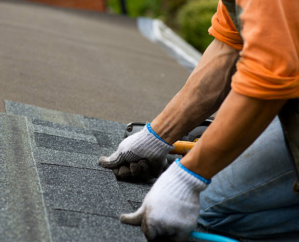 Best Gutter Installation and Roofing  in Edwardsvle, IL
