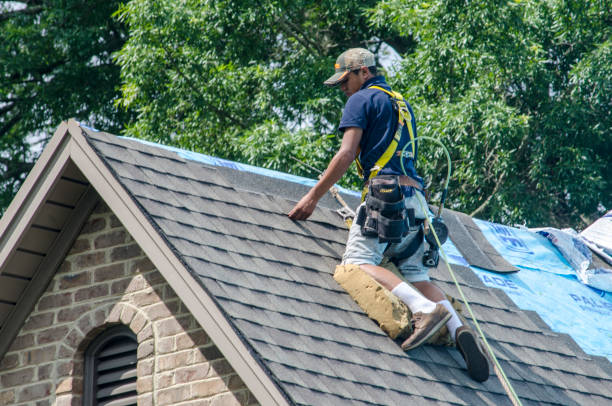 Best Roof Replacement Cost  in Edwardsvle, IL