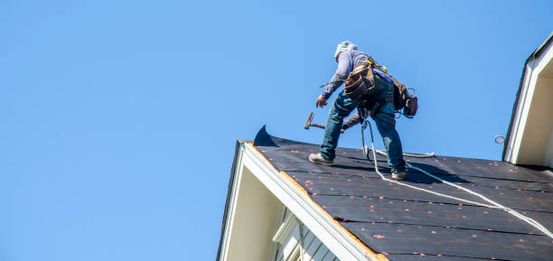 Best Commercial Roof Installation  in Edwardsvle, IL