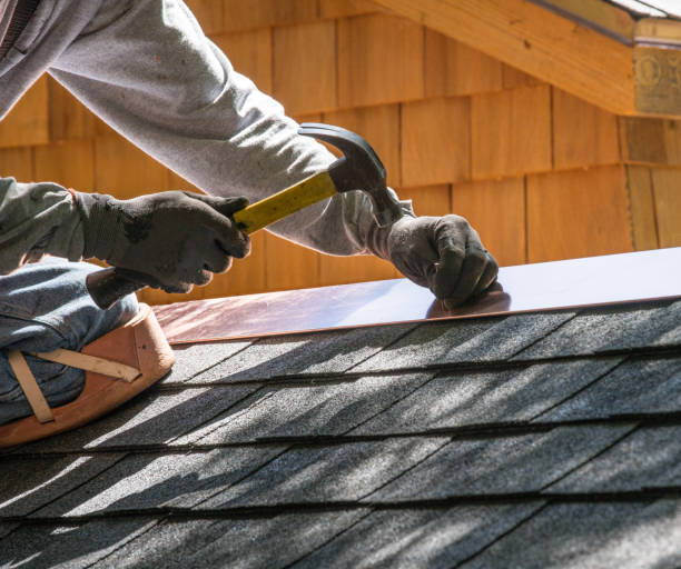 Best Roof Gutter Cleaning  in Edwardsvle, IL